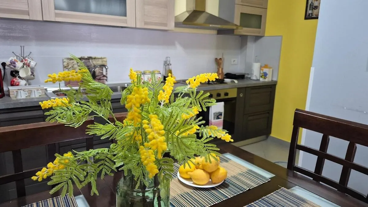 Mimosa Oasis Apartment Vlore
