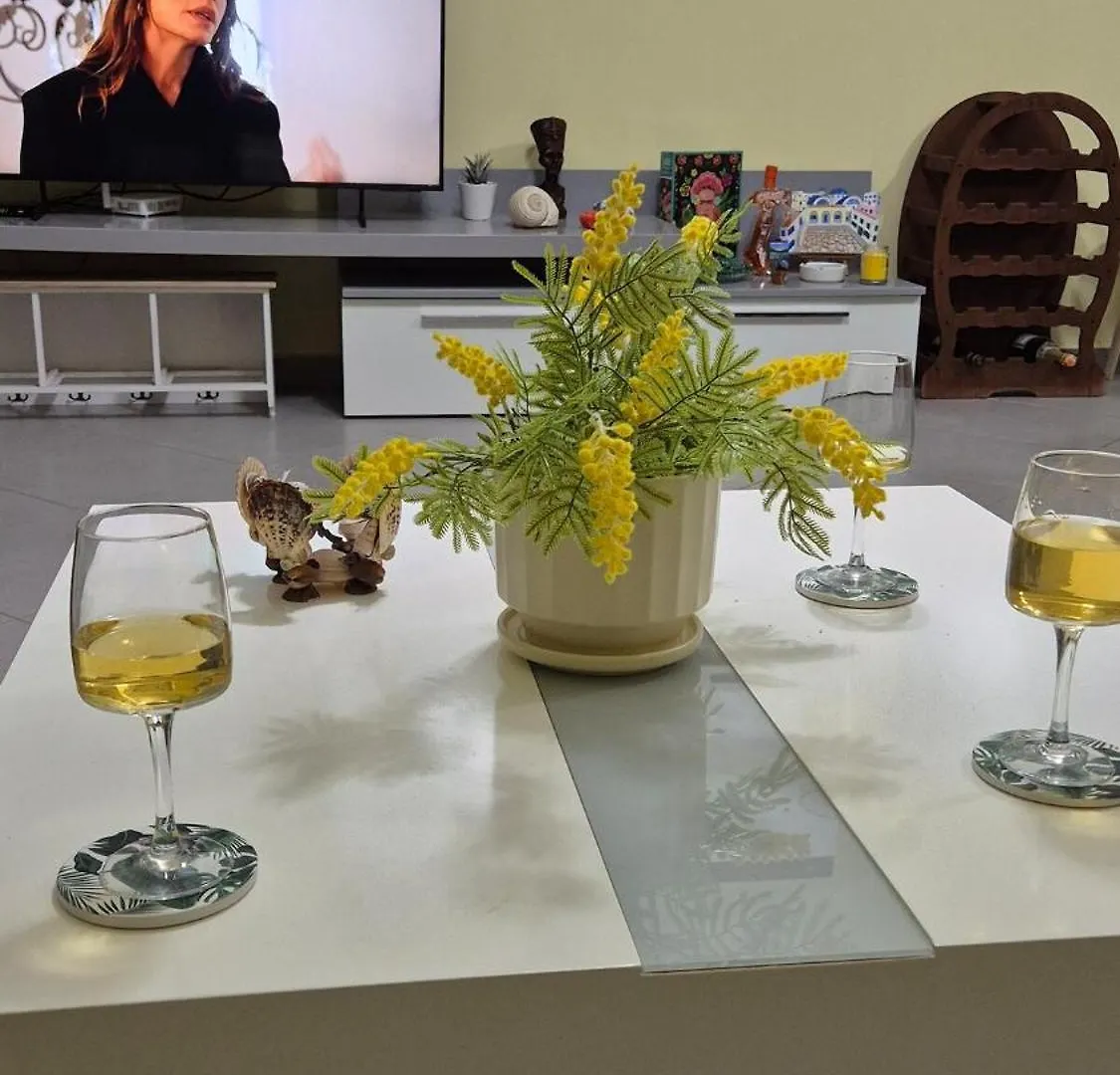 Mimosa Oasis Apartment Vlore